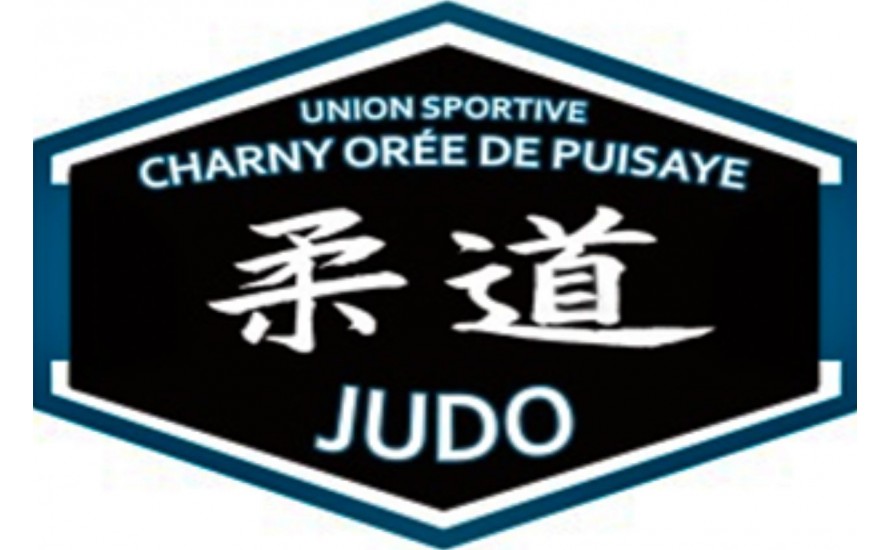 Logo du US CHARNY OREE DE PUISAYE